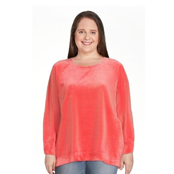 💙3 for $30💙 Boxy Fit Velour Crew Neck Sweater Sweatshirt Large - Picture 1 of 7